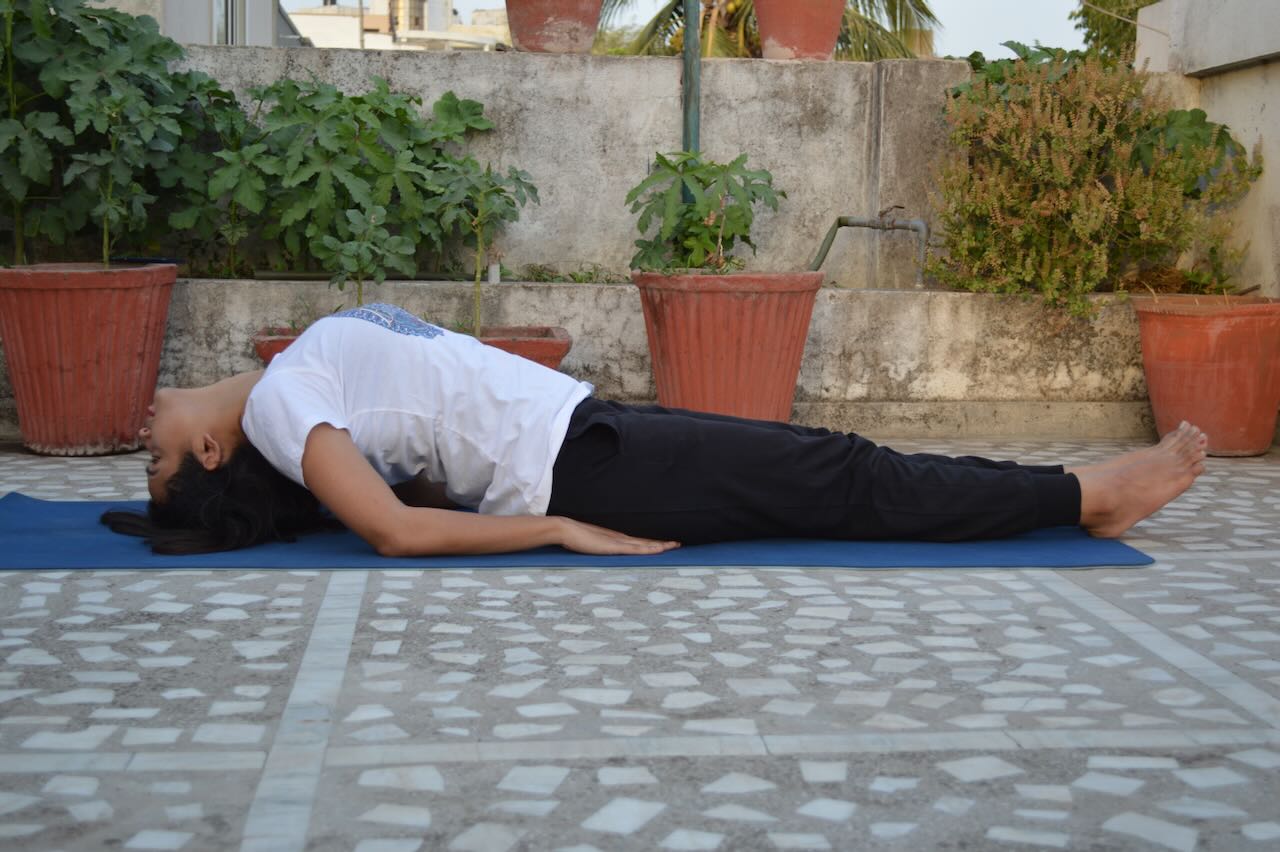 Yoga Poses For Beginners | Common Yoga Poses - Dingin Yaşam